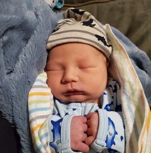 Meet your Posher, Dalton